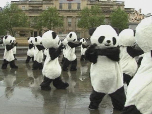 Десятки панд оккупировали центр Лондона