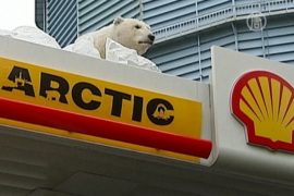 «Гринпис» и белый медведь призывают спасти Арктику