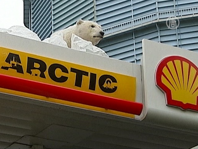 «Гринпис» и белый медведь призывают спасти Арктику