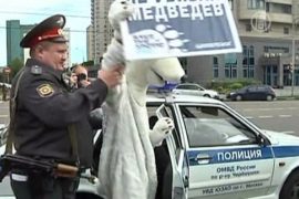 Медведей «Гринпис» арестовали у здания «Газпрома»