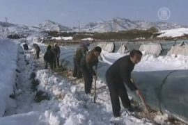 Северо-восток Китая засыпает снегом