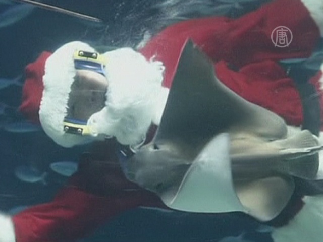 Подводный Санта-Клаус объявился в Японии