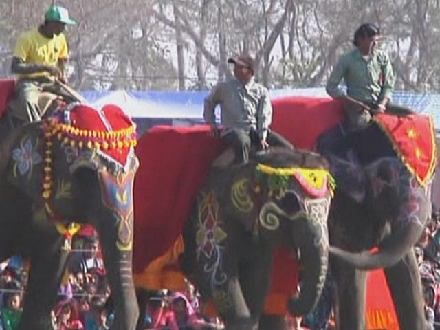 Конкурс красоты среди слонов прошел в Непале