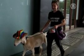 Австралийский суд оправдал козла, съевшего цветы