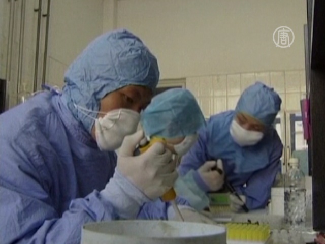 В Китае выявлены еще 4 случая птичьего гриппа