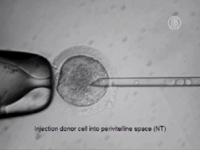 Стволовые клетки клонировали учёные в США