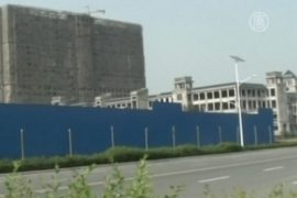 В Китае ласточки оккупировали стройплощадку