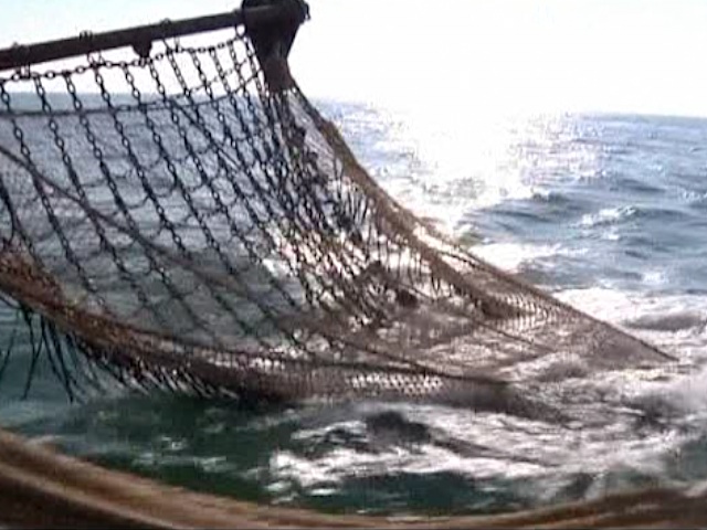 ЕС намерен восстановить свои рыбные запасы ЕС намерен восстановить свои рыбные запасы