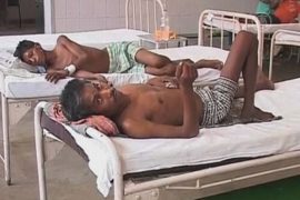 500 человек погибли из-за жары на юге Индии