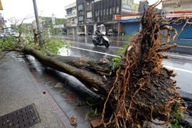 Тайфун «Соулик» движется на Приморский край