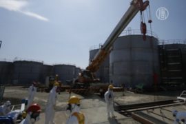 Власти Японии возьмутся за «Фукусиму» сами