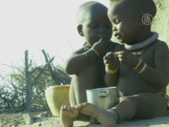 Намибия: сильнейшая засуха за 30 лет
