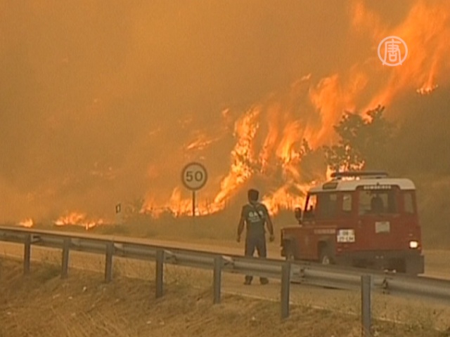 В Португалии продолжают гореть леса