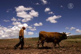 Фермеры Боливии жалуются на потепление климата