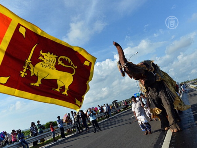 Автостраду открыли шествием слонов