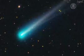 «Комета десятилетия» погибла от Солнца