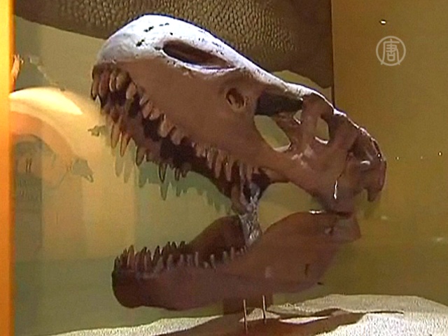 Мексика: все динозавры на одной выставке