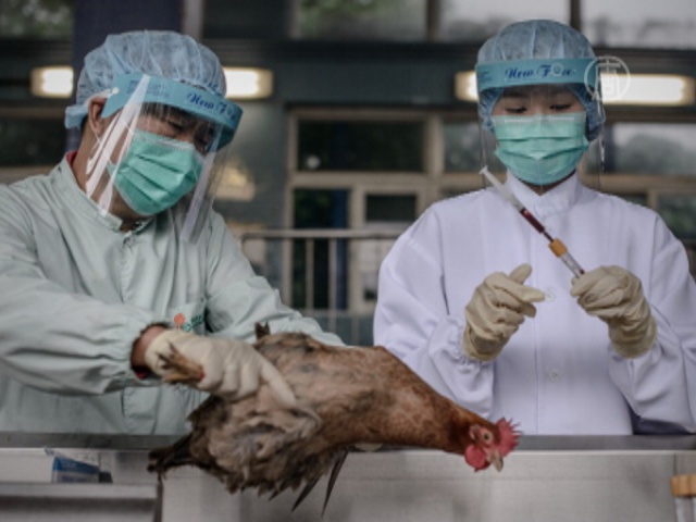 В Гонконге выявлен первый случай заражения H7N9