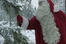 Санта-Клаус занялся защитой лесов