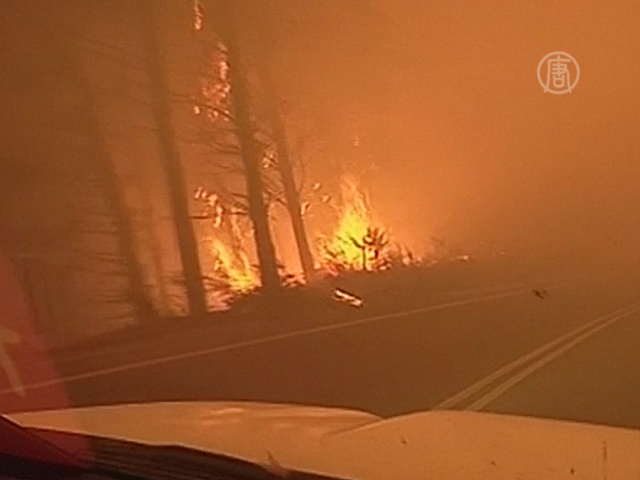 Лесные пожары в Чили вышли из-под контроля