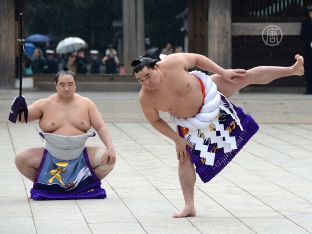 Лучшие борцы сумо встретили Новый год