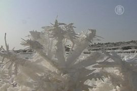 Озеро в Китае покрылось «цветами» из соли