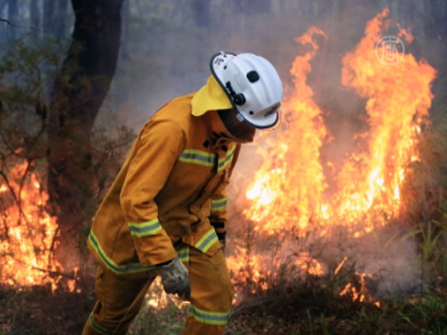 Лесные пожары в Австралии не удаётся потушить