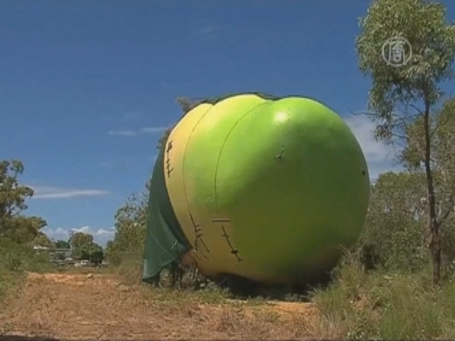 В Австралии найдено украденное большое манго