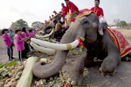 В Таиланде отмечают Национальный день слона