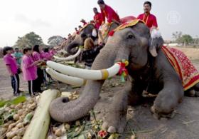 В Таиланде отмечают Национальный день слона