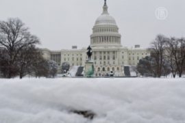 Вашингтон снова завалило снегом