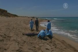 У побережья Ливии затонуло судно с мигрантами