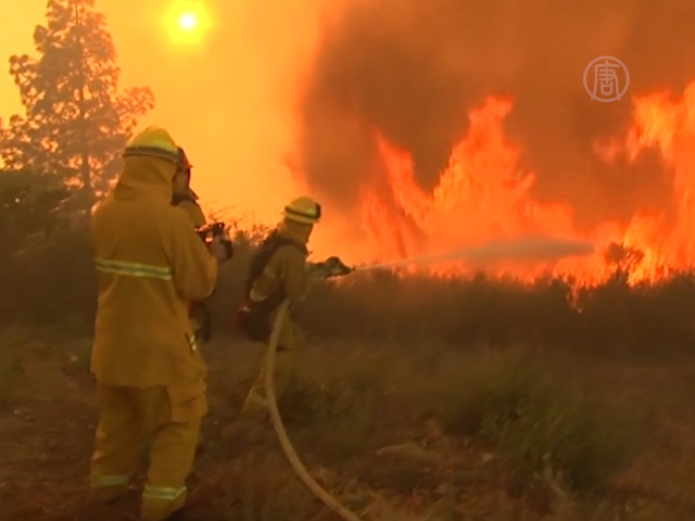 Пожар в Калифорнии локализовать пока не удалось