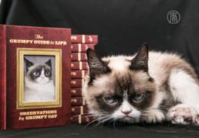 Grumpy Cat рекламирует свою вторую книгу