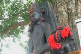 В поселке в Индии находят в земле статуи Будд