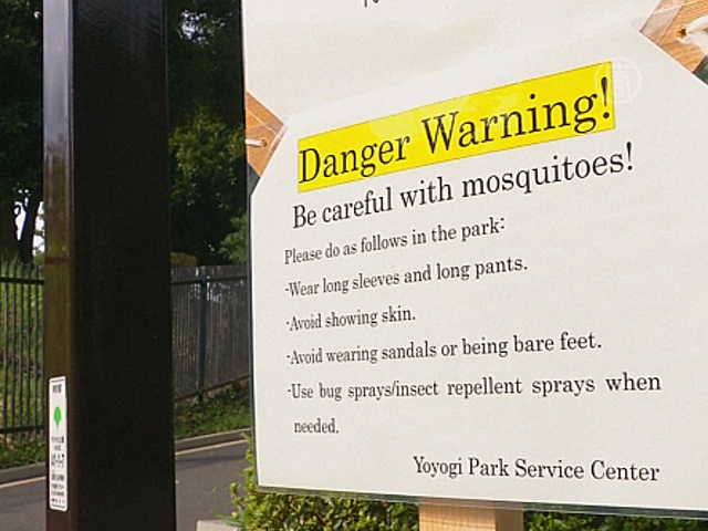 В Японии из-за лихорадки денге закрывают парки
