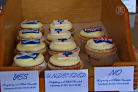 Шотландский пекарь организовал кексовый референдум
