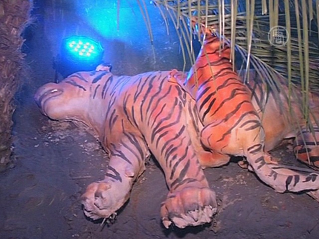 На индуистском празднике призвали сохранить тигров