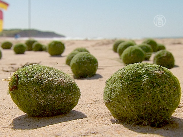 Австралийский пляж усыпало мистическими шариками