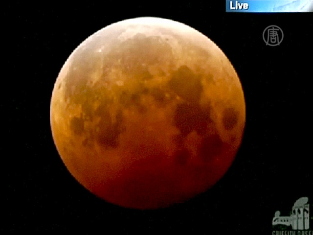 Редкую «кровавую Луну» наблюдали в ночь на четверг