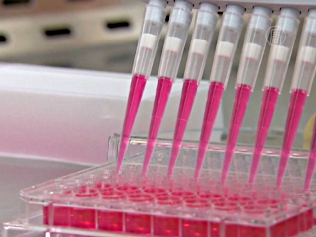 ВОЗ объявила о начале испытаний вакцин от Эболы