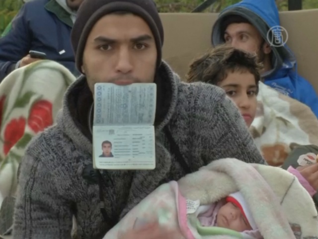 Беженцы из Сирии голодают у парламента Греции