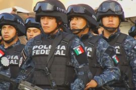 Власти Мексики намерены навести порядок в стране