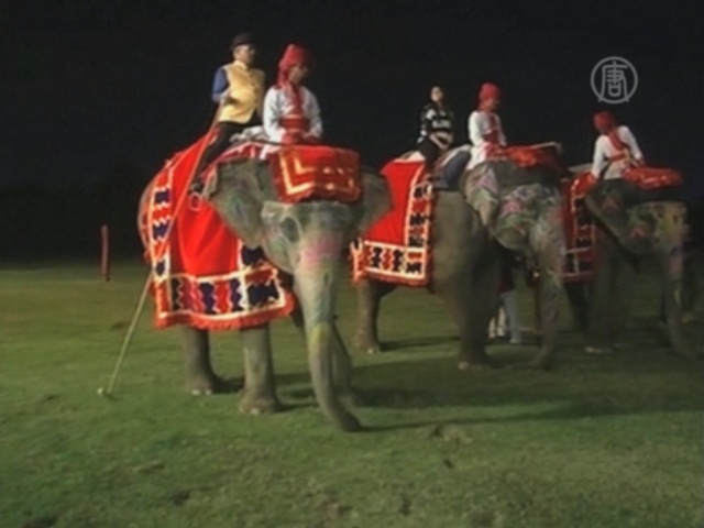 В Индии пресекли жесткое обращение со слонами