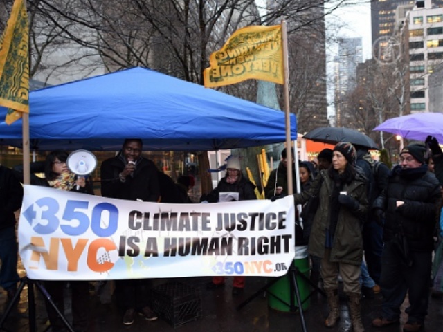 Активисты стойко перенесли непогоду ради климата