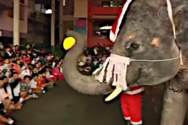 Слоны-Санты раздают подарки детям в Таиланде