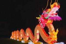 Бельгийский зоопарк украсили китайские фонари
