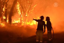 В Австралии – сильнейшие за 30 лет лесные пожары