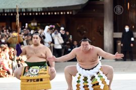 Борцы сумо поприветствовали Новый год в Японии