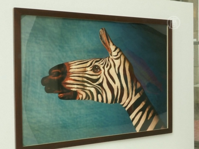 Художник рисует на руках исчезающих животных